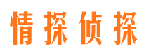 汶川市侦探公司